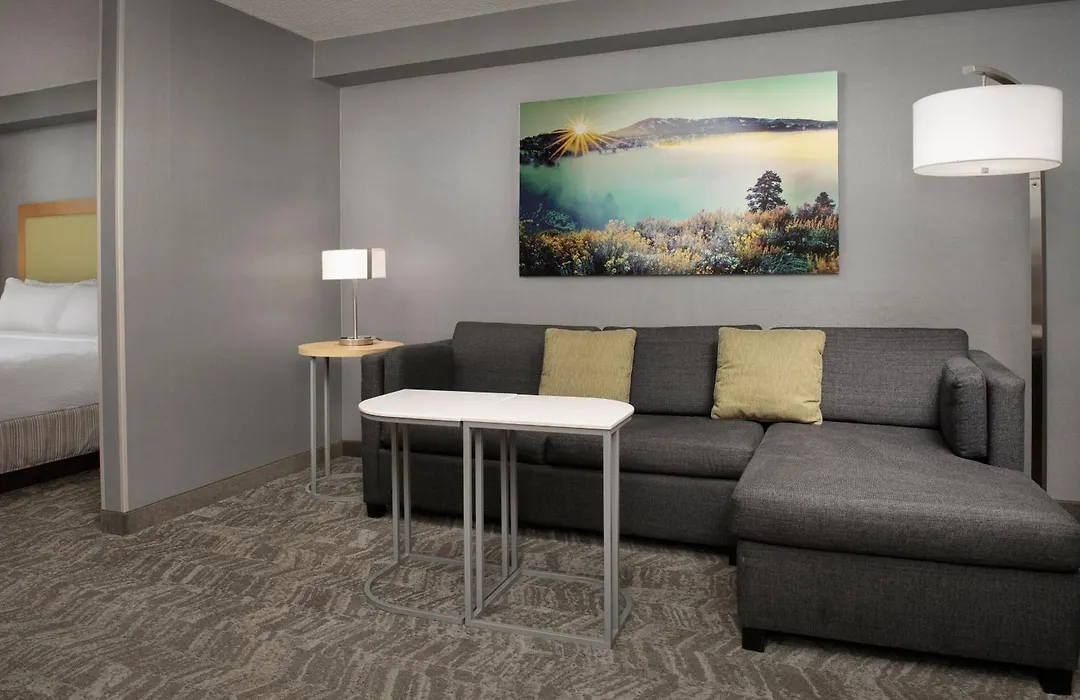 Springhill Suites By Marriott Boise Parkcenter-1